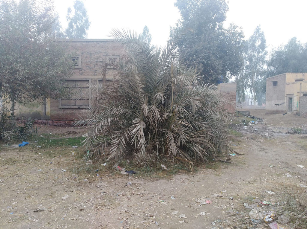 Govt. Middle School No. 2 Abdul Hakim
